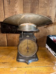 Antique Universal Family Scale