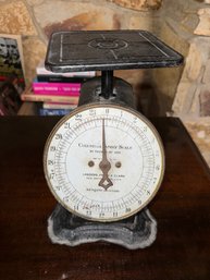 Vintage Columbia Family Scale 24 Pounds Landers Frary & Clark Pat. 1907