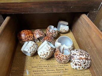 Lot Of Tiger Cowrie Seashell Napkin Rings