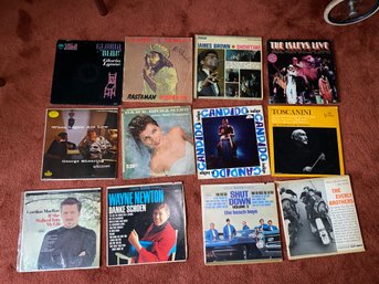 Vintage Vinyl Record Collection (Dame Dreaming, Candido, When Lights Are Low, James Brown Showtime And More)