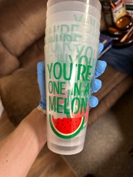 Watermelon Plastic Tumblers Set Of 6 - 'You're One In A Melon' Summer Cups