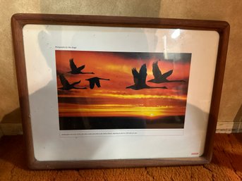 A Flock Of Cranes Flying Print Framed