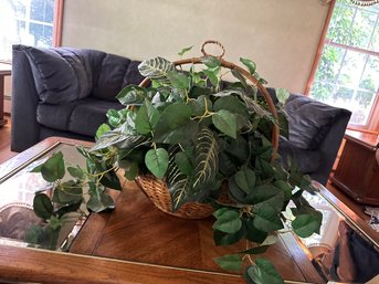 Decorative Plant On Basket