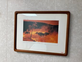 Bison Running Scene Art Print Framed