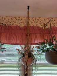 House Plants Or Silk Plants Unique Hanging Wall Decor
