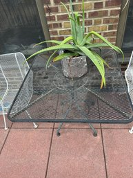 Patio Furniture Iron Table Size: 39'x29'