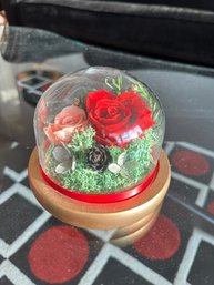 Flowers Preserved Roses Gift Dome