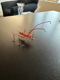 Handmade Insect With Copper Wire