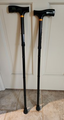 (2) Walking Cane Selections
