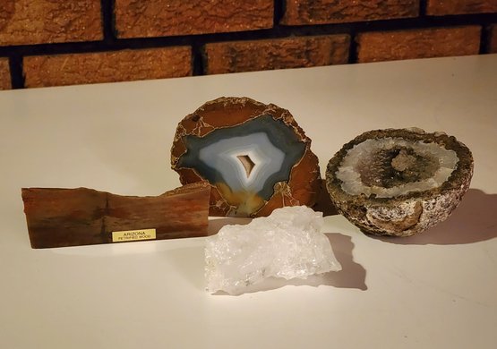 Assortment Of Fossils And Minerals