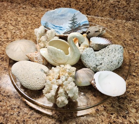 Large Assortment Of Shells And Platter
