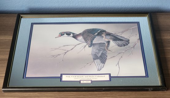 Rare 2002 Conservation Series WATERFOWL Theme Wall Accent