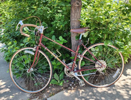 Vintage CENTURION Commuter Bicycle #1