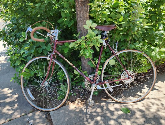 Vintage CENTURION Commuter Bicycle #2