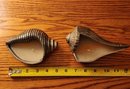 (3) Pottery Barn Pewter Shell Style Candles
