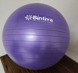 BINTIVA Exercise Mobility Ball