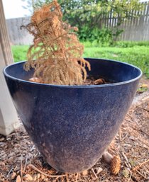 Large Blue Flower Planter