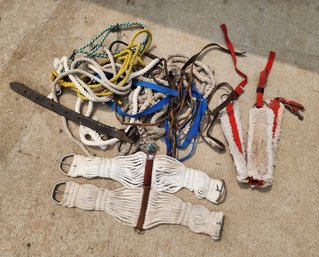 Assortment Of Horse Tack #3