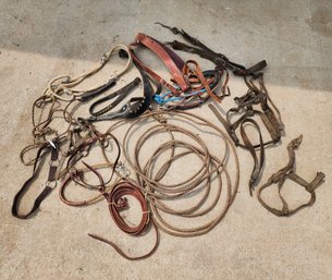 Assortment Of Horse Tack #4