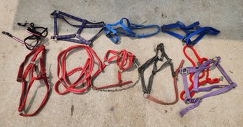 Assortment Of Horse Tack #4