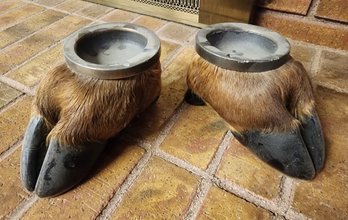 Vintage Taxidermy Set Of Hoof Ashtrays