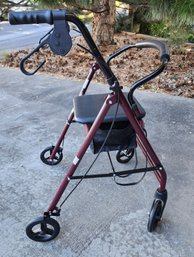 GUARDIAN Mobility Walker #1