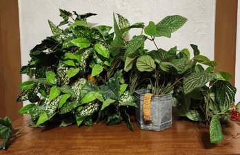 (2) Artificial Ivy Plant Selections