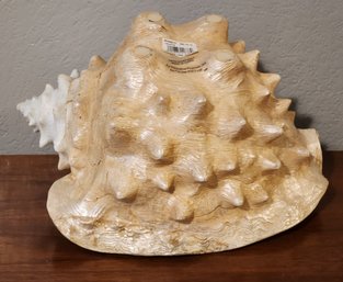 Large Brand New Faux Seashell Decor