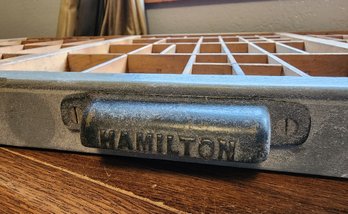 Antique HAMILTON Typeset Drawer Shadowbox Display