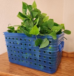 Plastic Blue Basket With Bundle Of Artificial Ivy Plant Selections