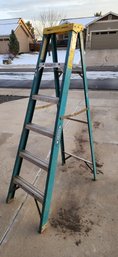 WERNER 6 Foot Heavy Duty 250 Lbs. Ladder