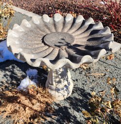 Vintage Cement Bird Bath Selection