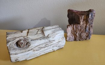 (2) Petrified Wood Home Decor Selections