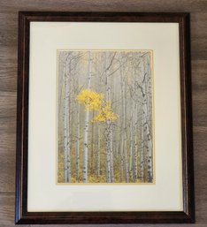 Vintage Fine Art Framed Print Aspen Grove Trees