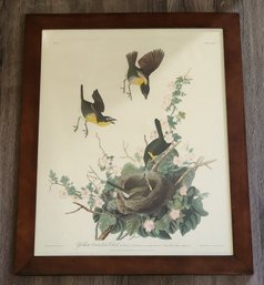 Vintage Framed Color Print By AUDUBON Yellow Breasted Chat