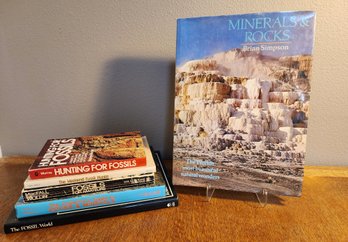 Assortment Of Fossil Theme Books