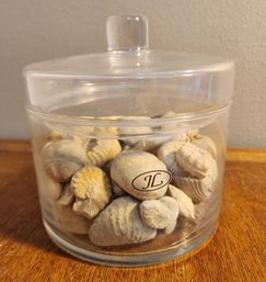 Vintage Glass Container Filled With Shell Fossils