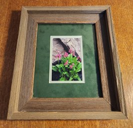 Parry Primrose Framed Fine Art Photograph By JAMES FRANK Signed