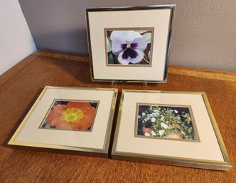 (3) Fine Art Photography Framed Floral Prints