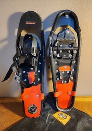 Pair Of Winter Snow Shoes