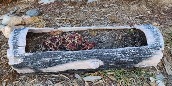 Large Log Theme Planter With Succulent Selection