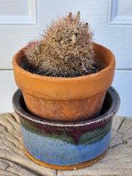 Vintage Cactus In Clay Pot And Ceramic Lower Pot