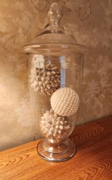 Large Glass Display Canister With Lid And Seashell Style Decor Selections