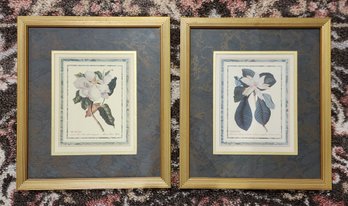 (2) Vintage Framed Magnolia Art Prints