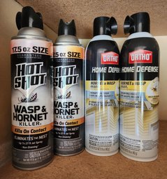 Bottles Of Hot Shot Wasp Spray