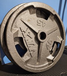 (2) Metal VTX 45lb Weights