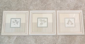 Set Of (3) Matching Wall Accent Framed Art Selections