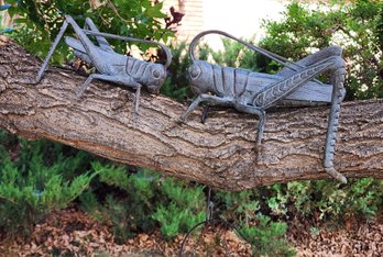 Metal Grasshopper Duo Outdoor Lawn And Garden Decor Figures