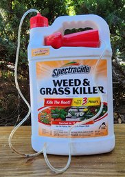 SPECTRACIDE Weed And Grass Killer