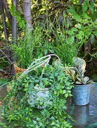 Assortment Of Faux Plants With Containers #2